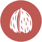 Frutos de cáscara Frutos de cáscara